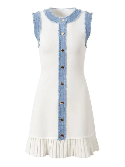 Serafina Denim Dress